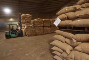 Exporters warn new VAT law threatens key farm sectors