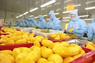 Nearly 4,000 codes of VN agricultural products approved to export to China