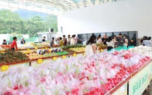 Việt Nams fruit, vegetable exports exceed 7 billion in 10 months