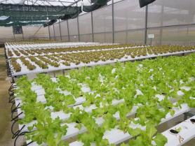 Ministry will improve institutions, infrastructure for agricultural development