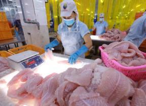 Major seafood exporters face mounting US trade pressures