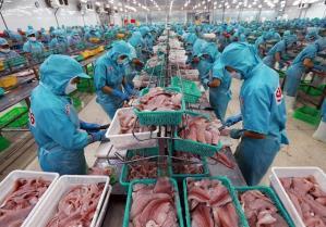 Agro-forestry-fishery exports poised for record revenue of 70b this year