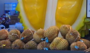 Comprehensive strategy to revive China durian exports proves successful