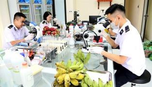 Việt Nam, China seek solutions to deepen agricultural cooperation