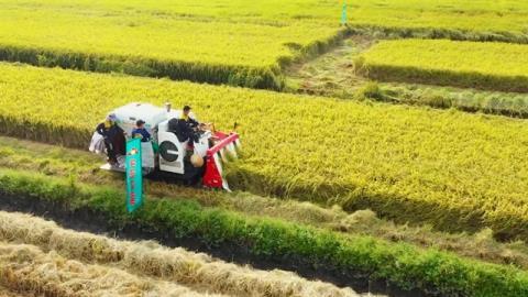 Farming for tomorrow