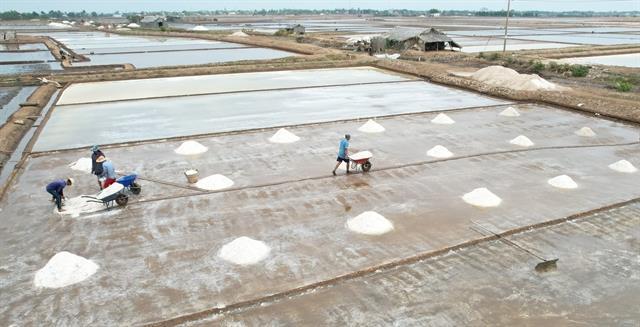 Festival celebrating Vietnamese salt production to be held in 2025
