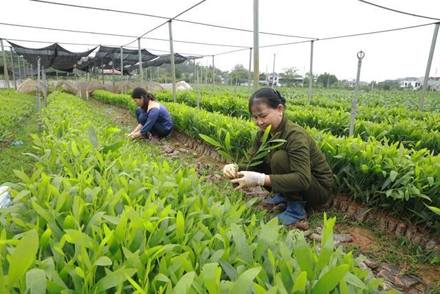 Northern midlands and mountainous region leads nation in GRDP growth