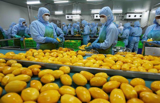 Fruit and vegetable industry aims for 10 billion in exports by 2030