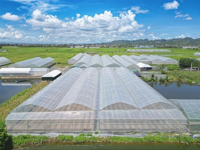 Low-emission crops to increase export prices of products