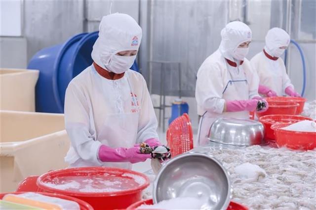 Building stronger resilience for Vietnamese firms against trade barriers