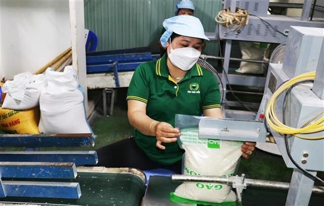 Việt Nam approves content of MoU on rice trade cooperation with Singapore