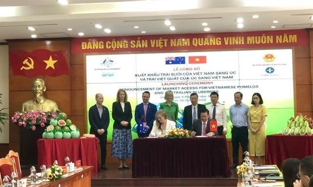 Việt Nam officially exports fresh pomelo to Australia