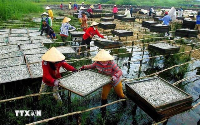 Govt aims to have 30 per cent women-owned enterprises by 2030

