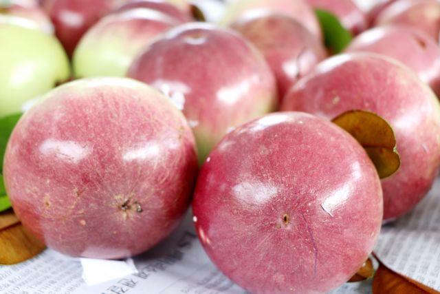 Cần Thơ takes its speciality products to tourism destinations