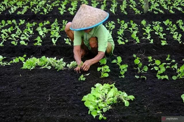 Indonesia expands carbon trade with nature-based solutions