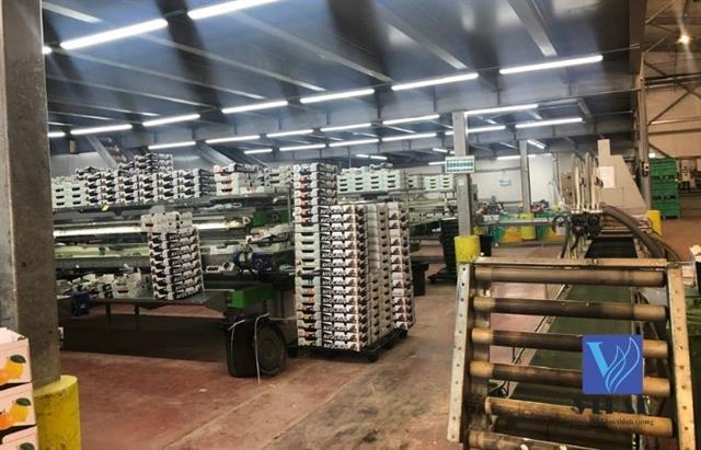 Vitad signs high-tech agricultural cooperation agreement with Israeli partner