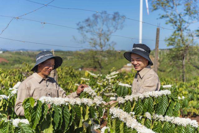 Growing areas shifting focus to specialty coffee production