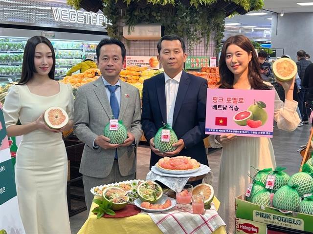 Vietnamese pomelo hits Lotte Mart shelves in South Korea

