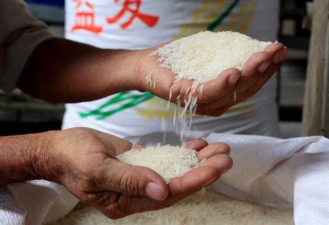 Việt Nams rice regains top spot in export prices 