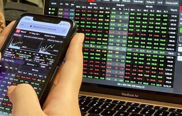 Vietnamese stock market holds firm despite VIC plunge