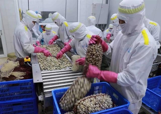Việt Nams mollusc exports to China soar in Q1 2025