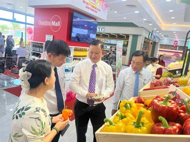 HCMC organises Vietnamese good promotion event in SATRA retail chain  
