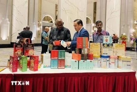 Việt Nam-Malaysia trade records strong growth over past decade