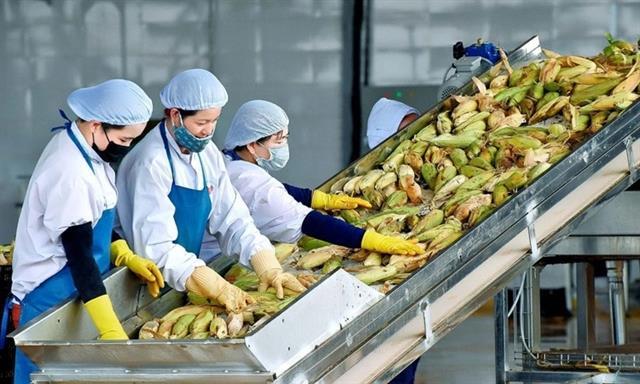 Fruit and vegetable exports fall for fifth consecutive month