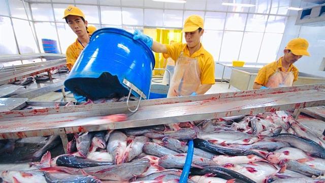 Việt Nams largest pangasius exporter sees decline in US market