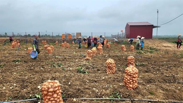 New decree aims to unlock green and sustainable investment in agriculture