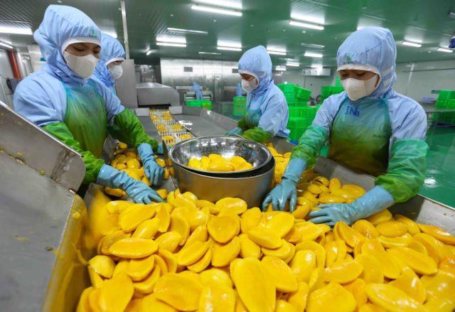 EU increases purchases of fruit from Việt Nam