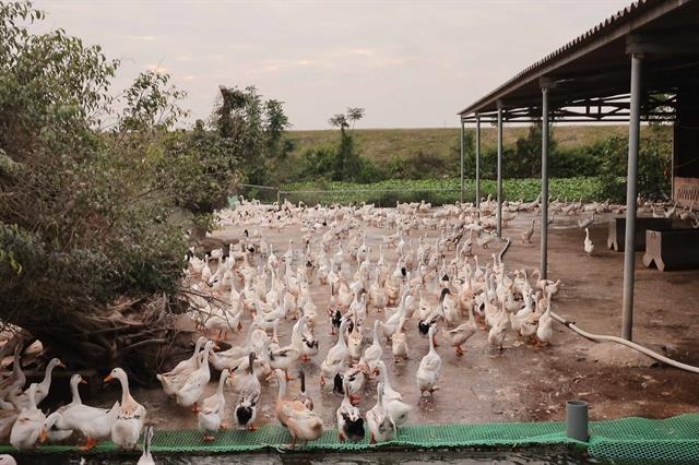 VN increases unsecured loan cap for farmers to 12,000 from July