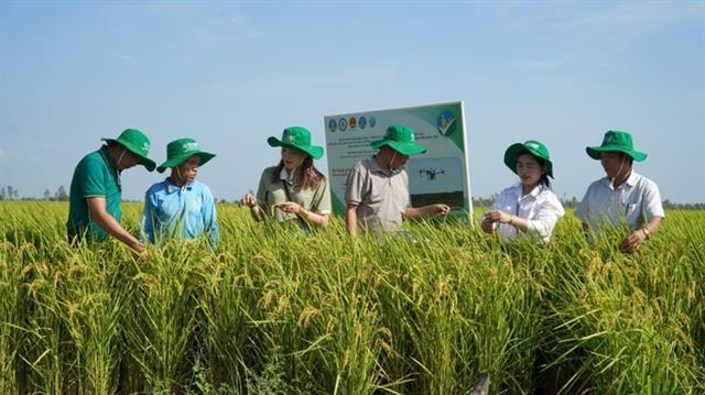 Green finance fuels Việt Nams agricultural transformation