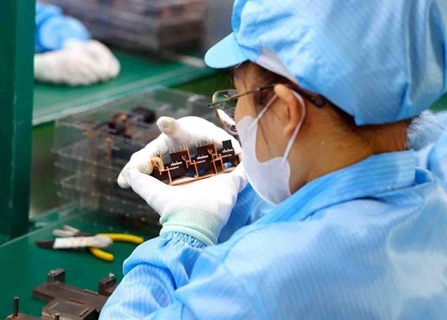 Number of newly-established firms hit record high in June