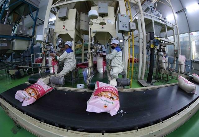 Việt Nam eyes Africa as next export frontier amidst risks in traditional markets