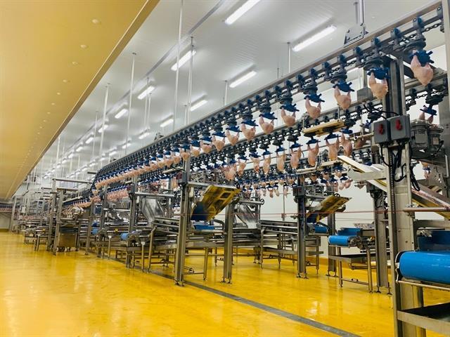 CPV Food Bình Phước aims to double export volume by 2026