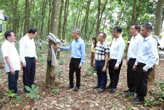 Việt Nam bolsters investment, economic cooperation in northeastern Cambodia