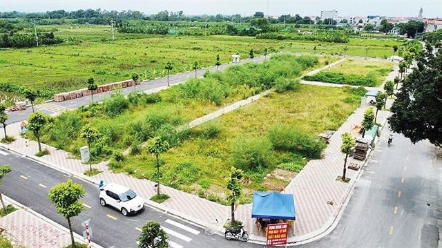 Land grab pays off as revenues hit record high