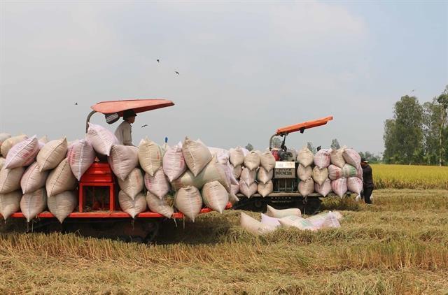 Rice exporters call for action after Philippines halts imports