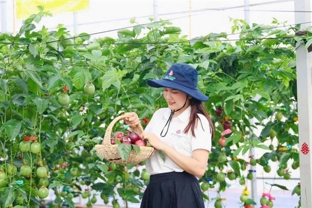 Passion project bears fruit but faces growing pains