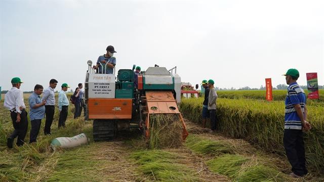 Cooperatives lead the way in Mekong Deltas humongous sustainable rice project