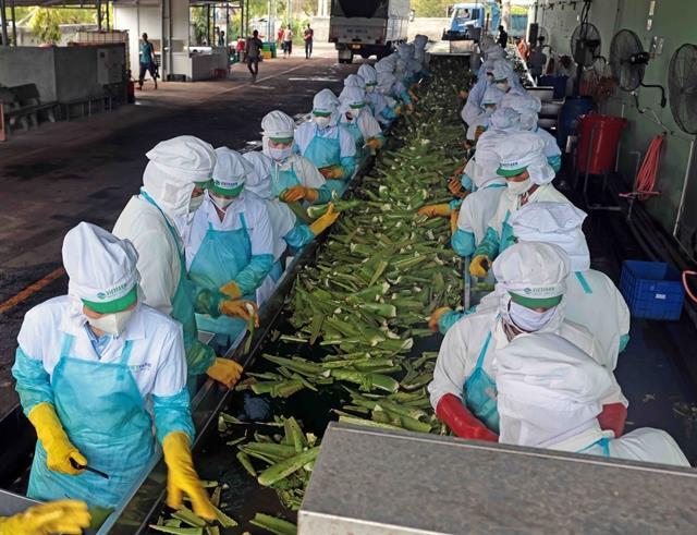 August sees sharp rise in new enterprises, registered capital