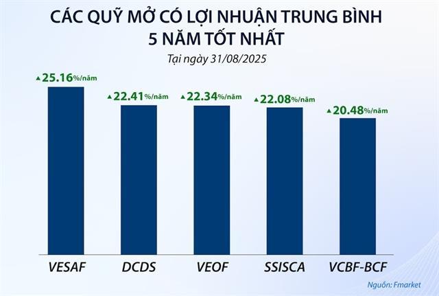 Open-ended funds shine as Việt Nam stock market booms