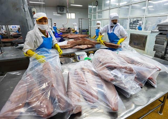 The USs import ban rocks VNs seafood industry