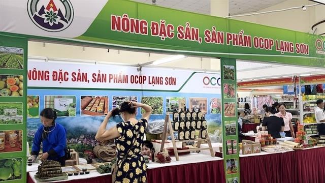 Fresh ideas bloom at Hà Nội market