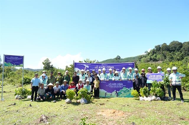 Coteccons plants 11,777 native trees to restore headwater forests in Quảng Trị
