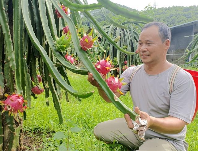 Clearing the path for safer exports