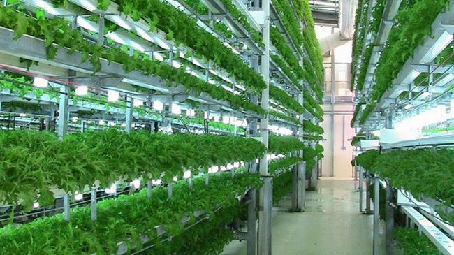 Banks cut interest on priority sector loans