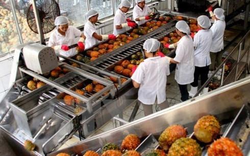 Record export of VN fruits in 2017