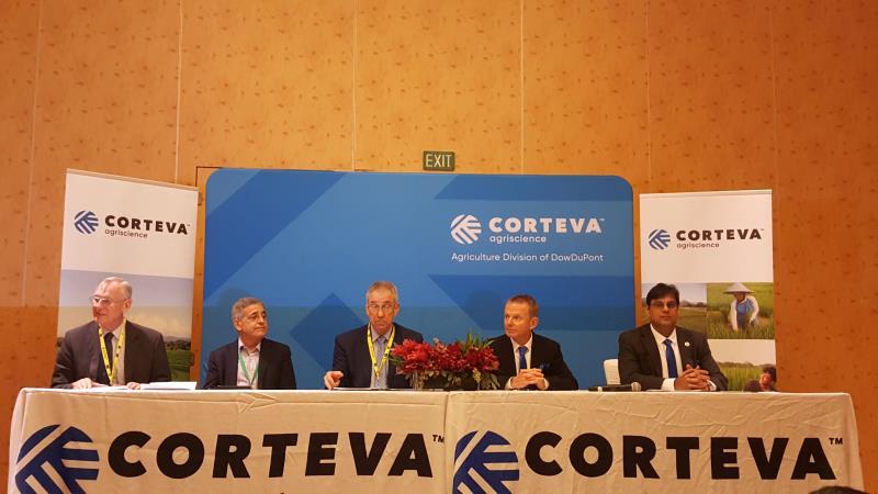 International Rice Congress considers how to increase yields, food security